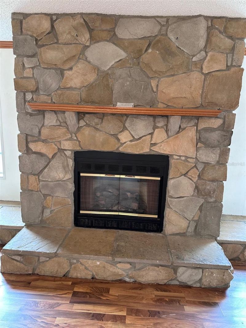 12468 SE Hwy 349, Old Town, FL 32680 Photo