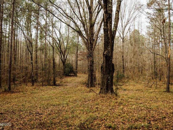 0 Warren Hood Road, Hermanville, MS 39086