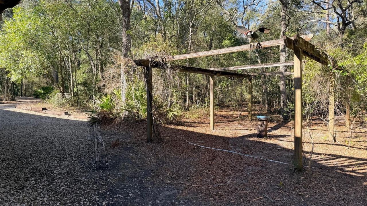 127 SE 930 Street, Old Town, FL 32680 Photo