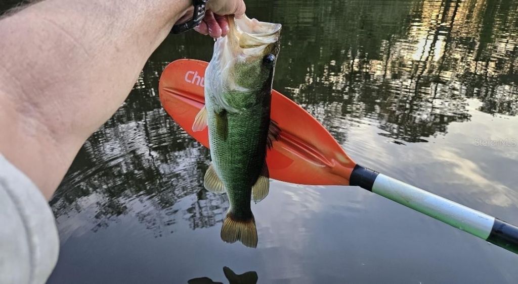 127 SE 930 Street, Old Town, FL 32680 Photo