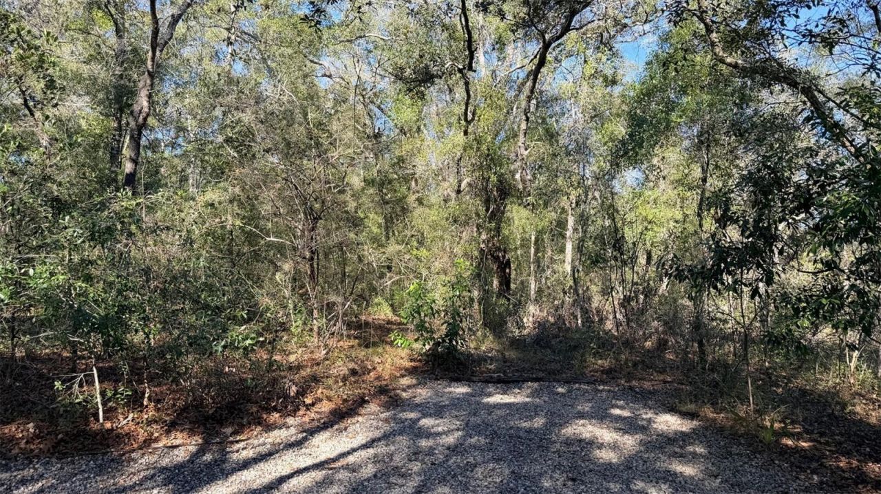 127 SE 930 Street, Old Town, FL 32680 Photo