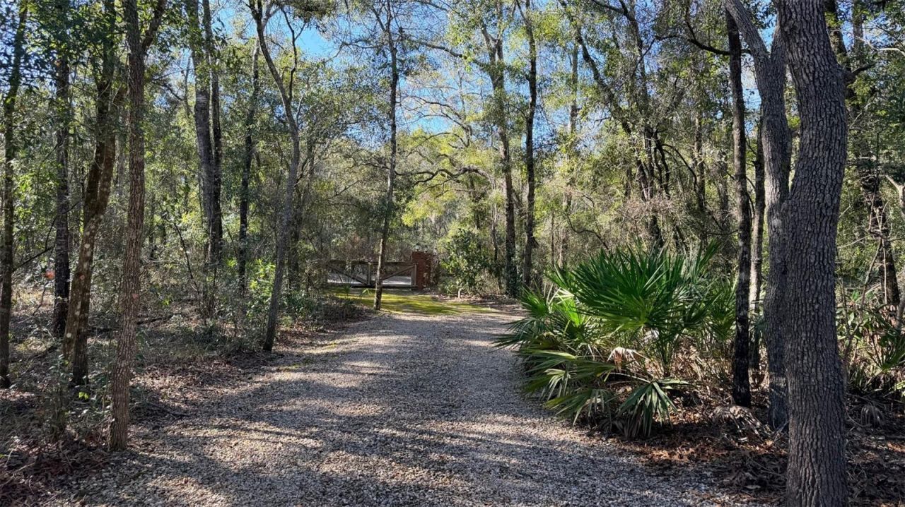 127 SE 930 Street, Old Town, FL 32680 Photo