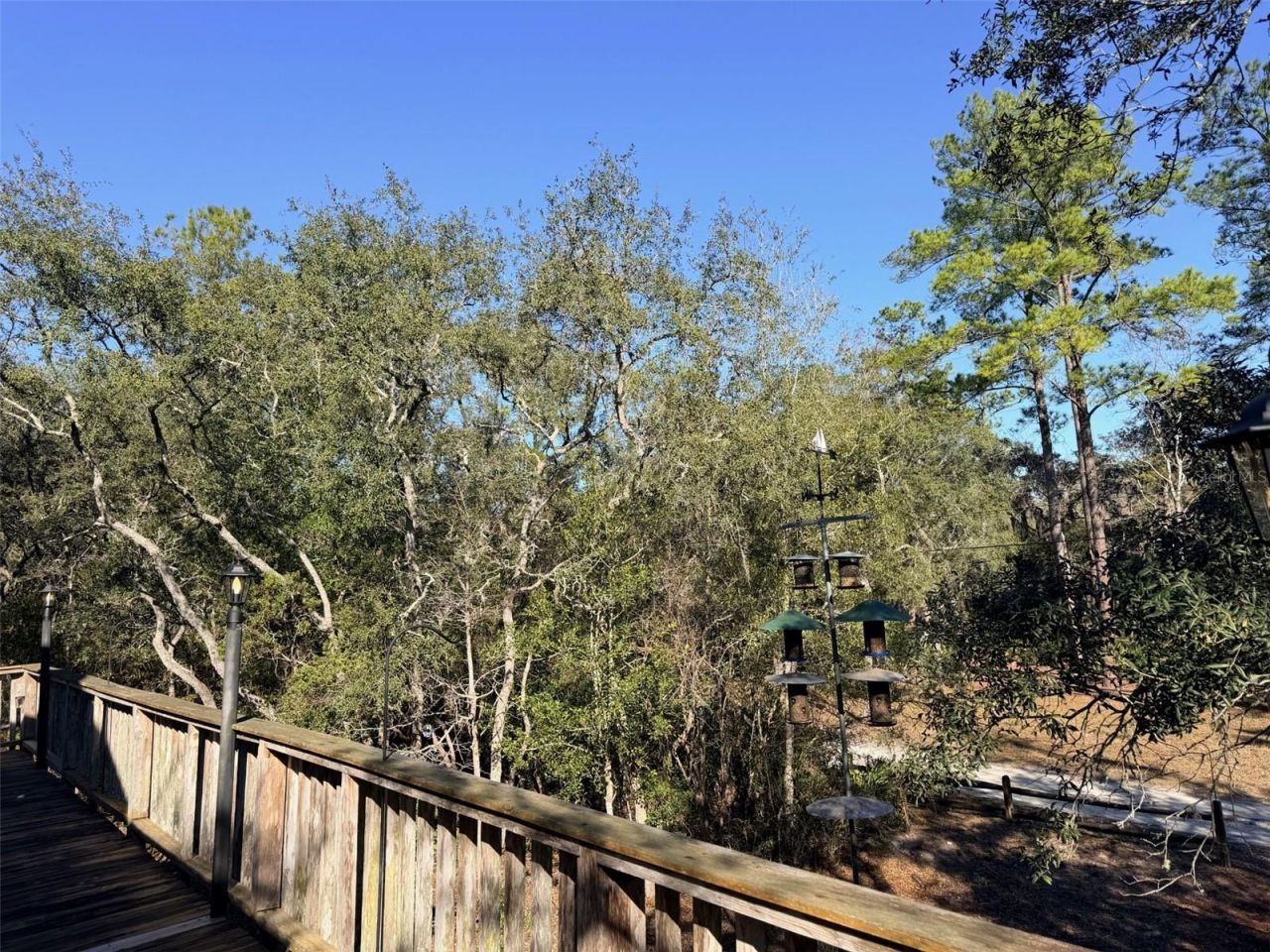 127 SE 930 Street, Old Town, FL 32680 Photo