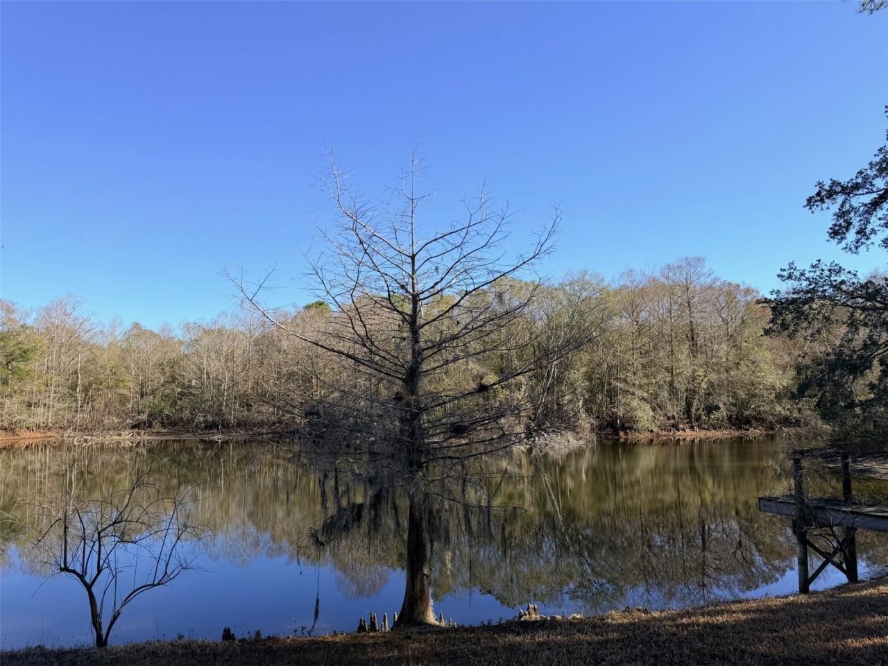 127 SE 930 Street, Old Town, FL 32680 Photo