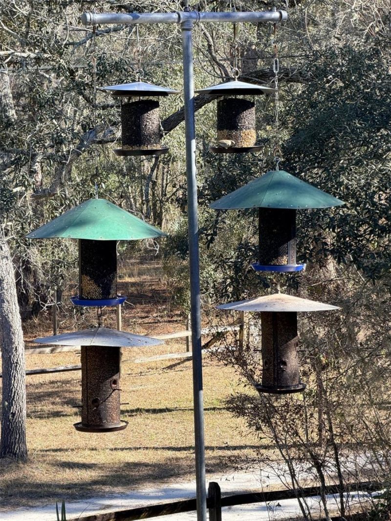 127 SE 930 Street, Old Town, FL 32680 Photo