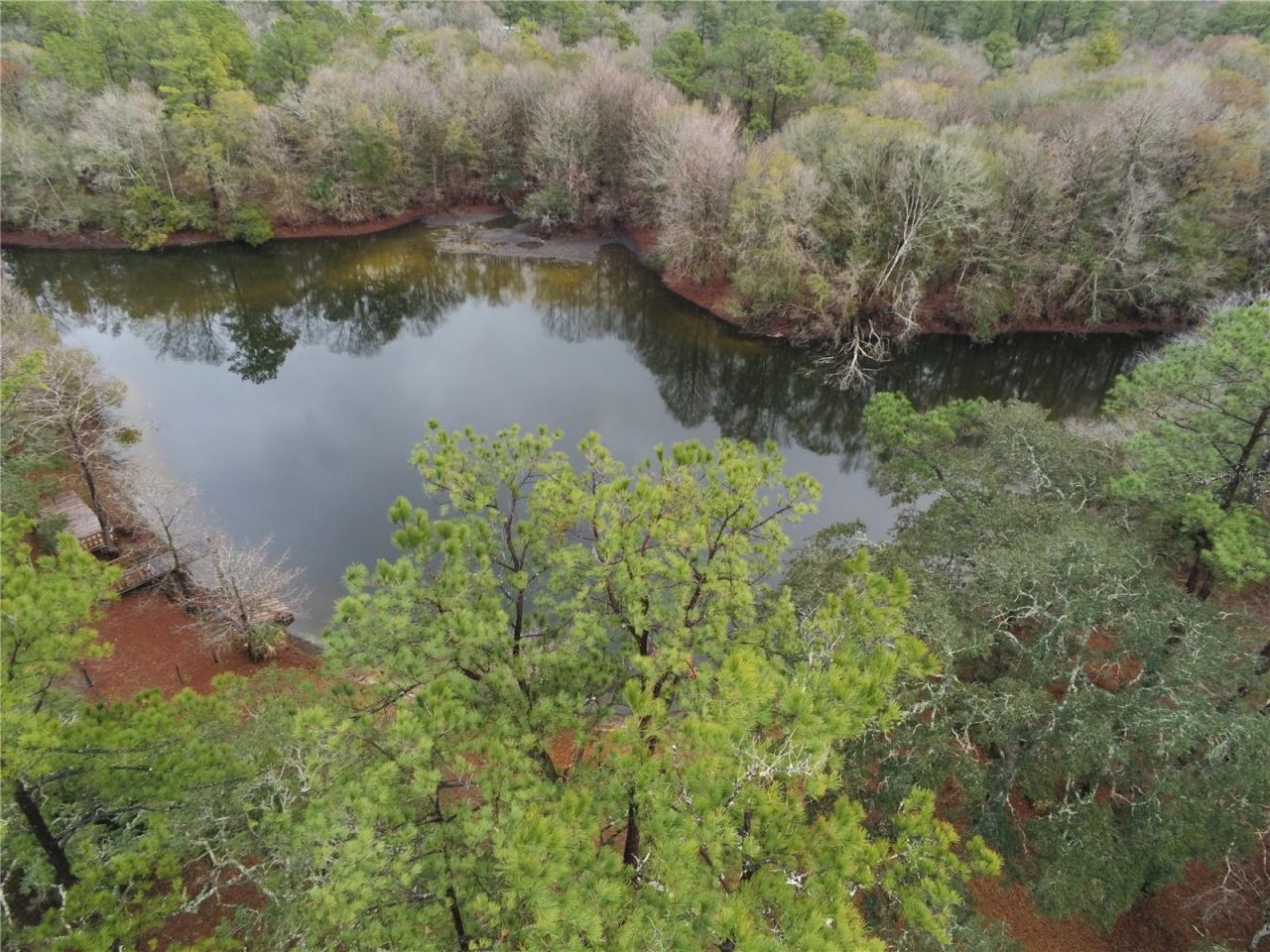 127 SE 930 Street, Old Town, FL 32680 Photo