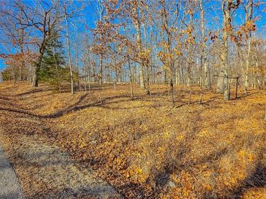 Lot #455 Grand View Drive, Sunrise Beach, MO 65079