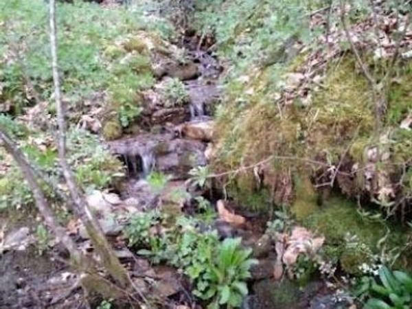 617 Barkers Creek Road, Whittier, NC 28789