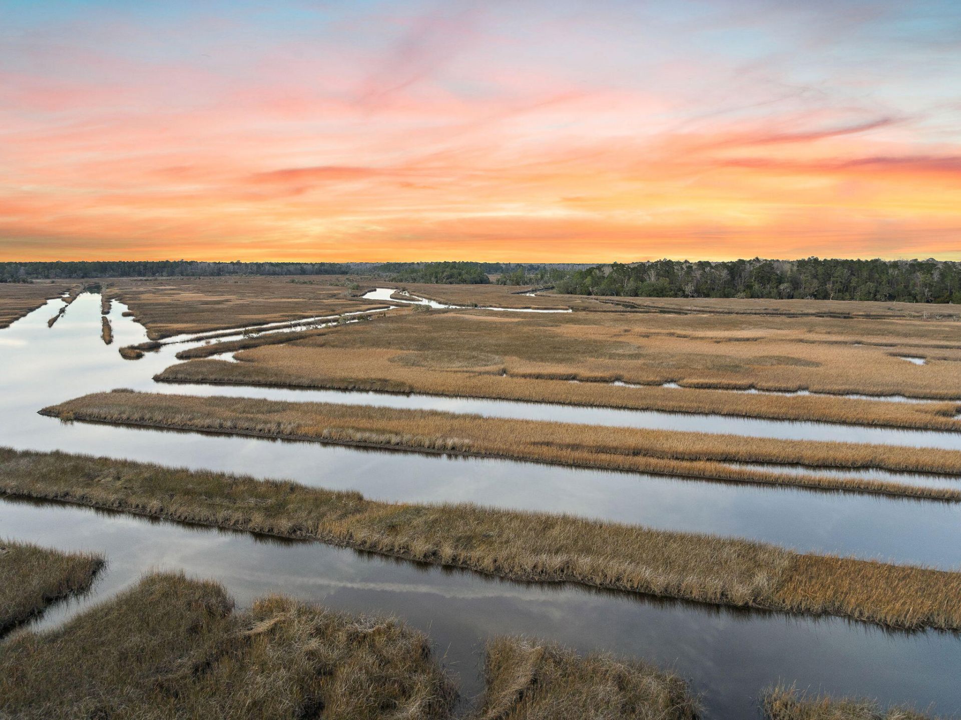 113 Silverbell Lane Photo 12