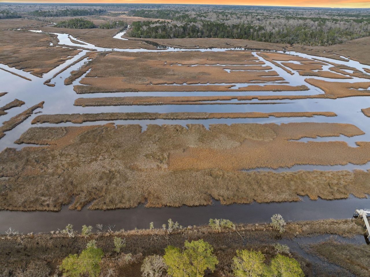 113 Silverbell Lane Photo 5