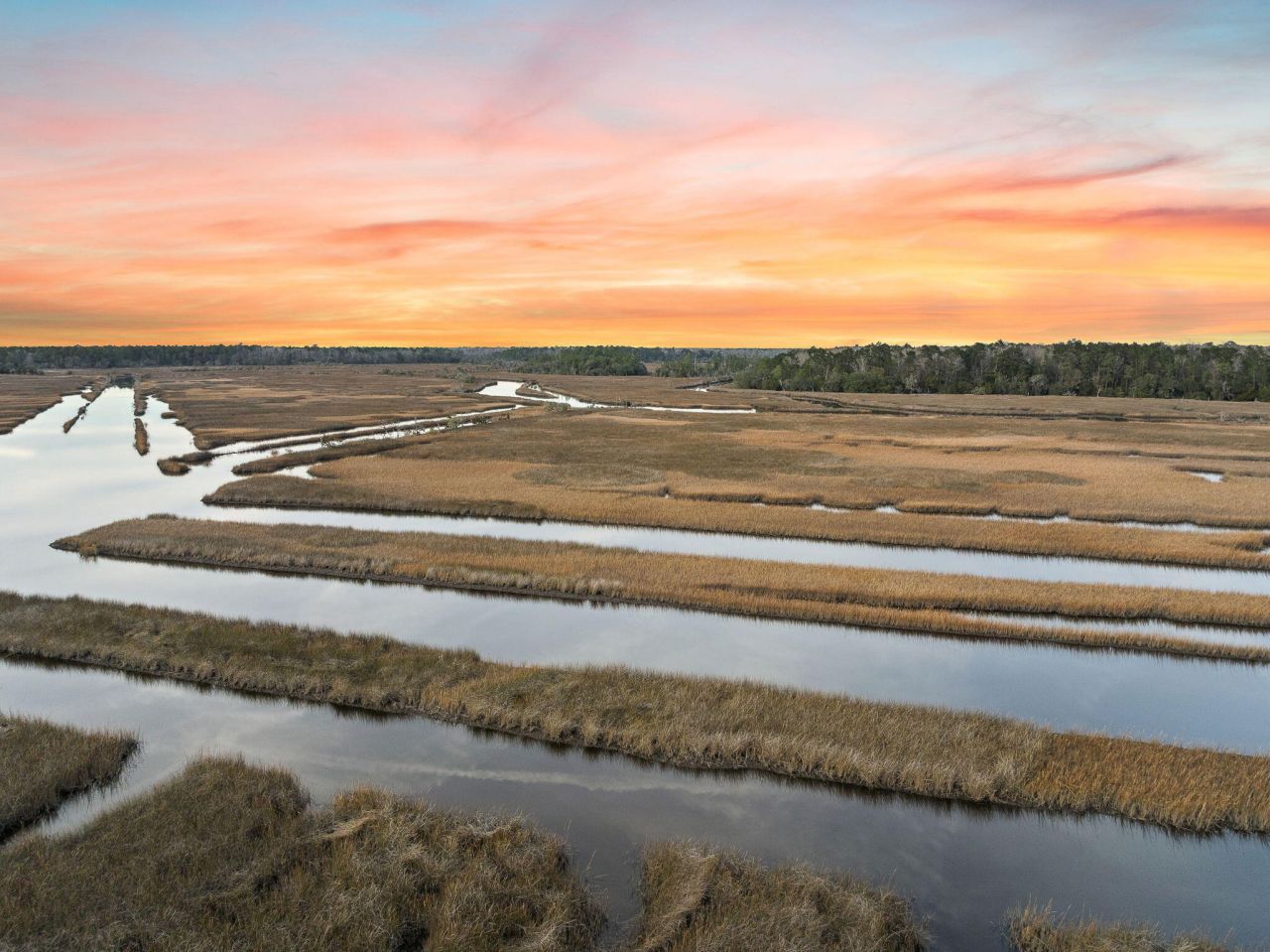 113 Silverbell Lane Photo 7