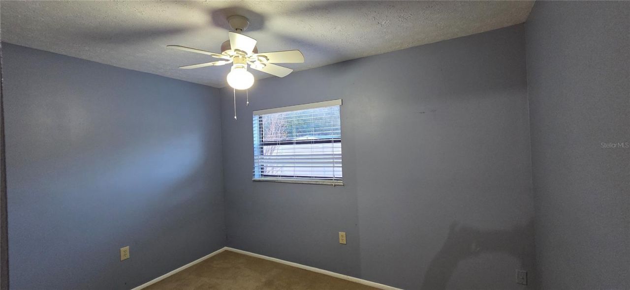 1702 S Miller Road, Valrico, FL 33594 Photo