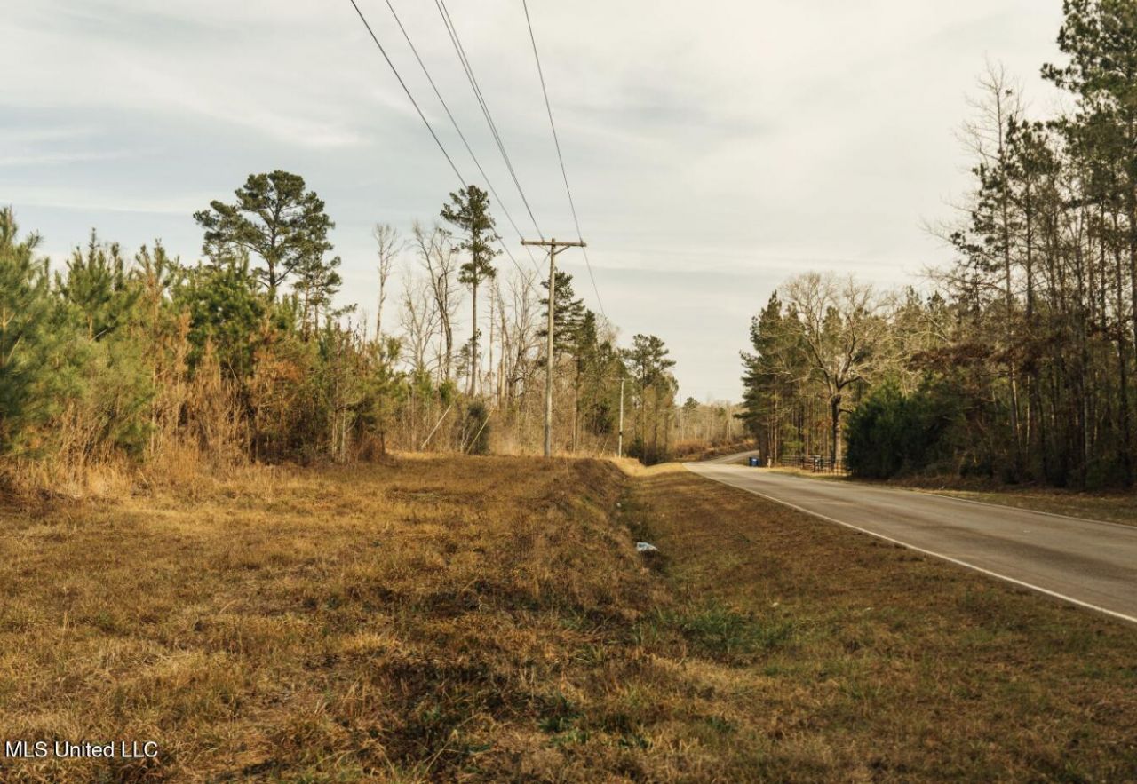 Tbd SW Arlington Drive, Bogue Chitto, MS 39629 Main Photo