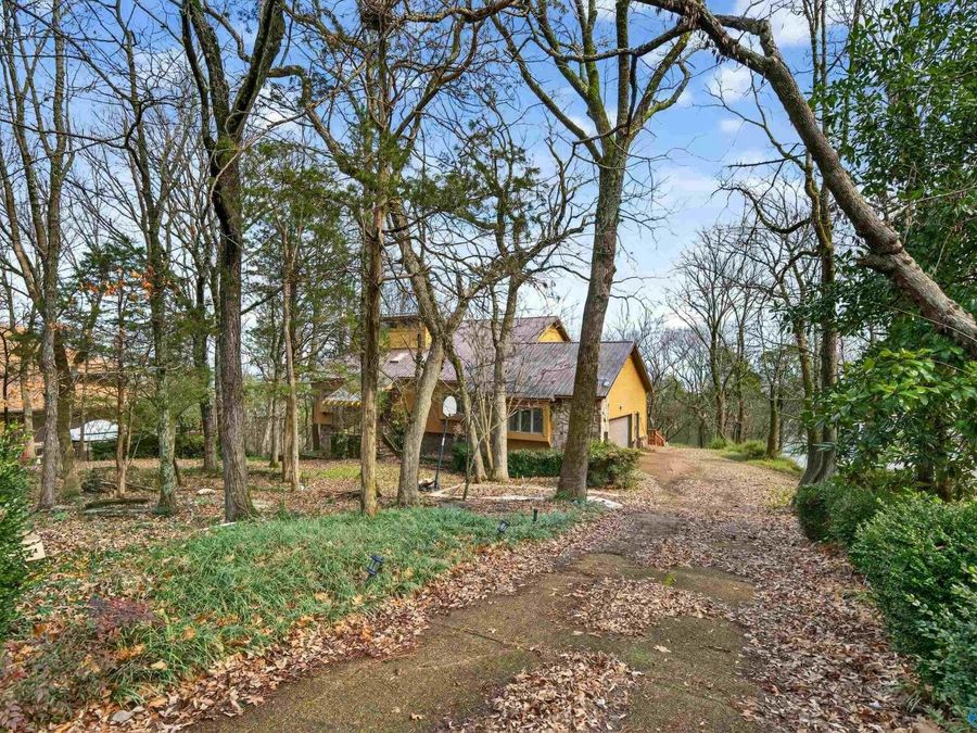 Property Image 41