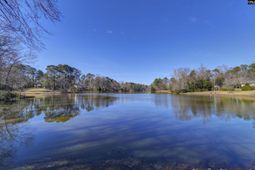 369 Hunters Blind Drive photo 4