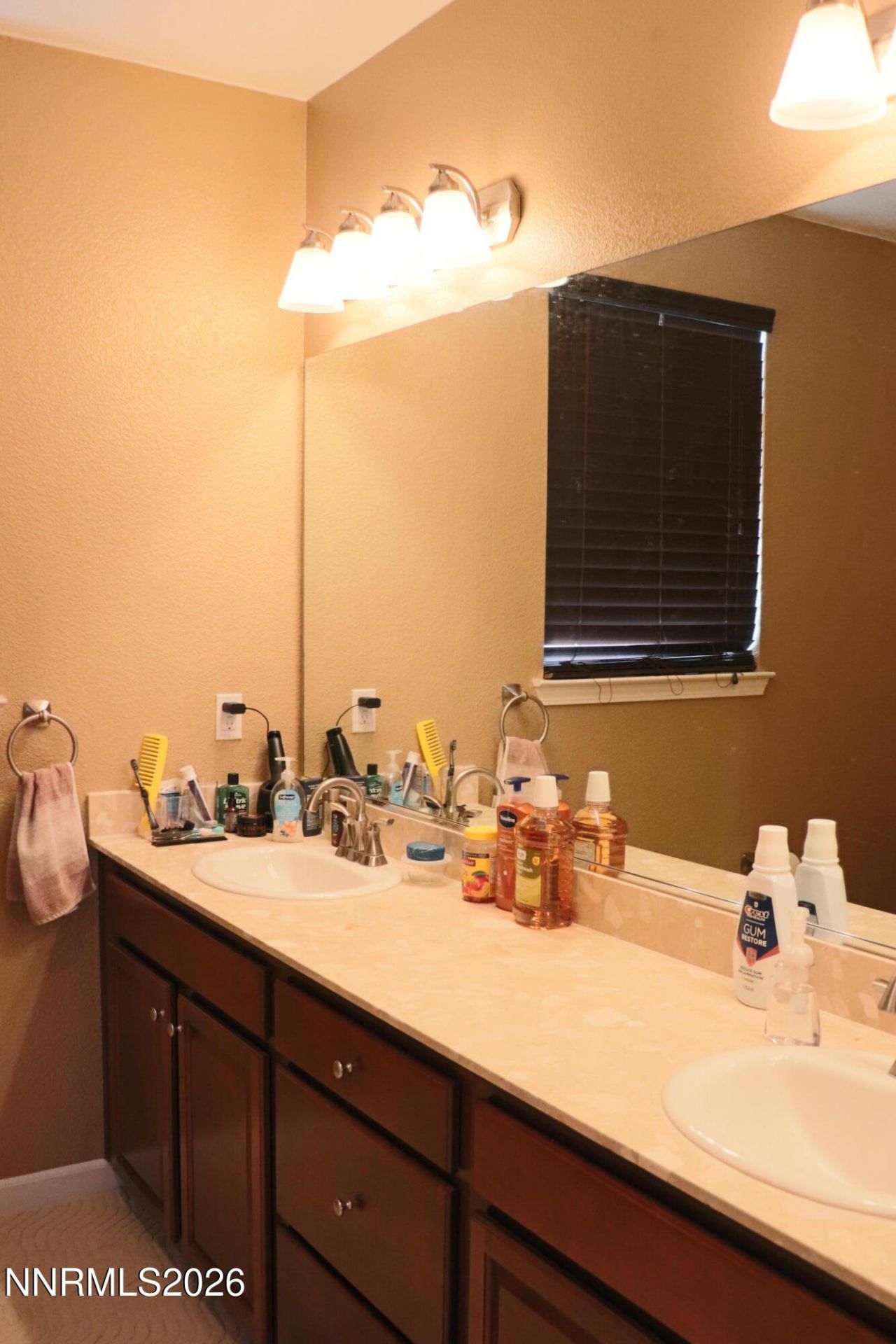 10843 Pebble Hill Drive, Reno, NV 89521 Photo