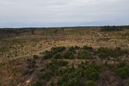 Tract 1 Park Road  photo 4