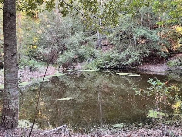 0 Love Creek, Ben Lomond, CA 95005