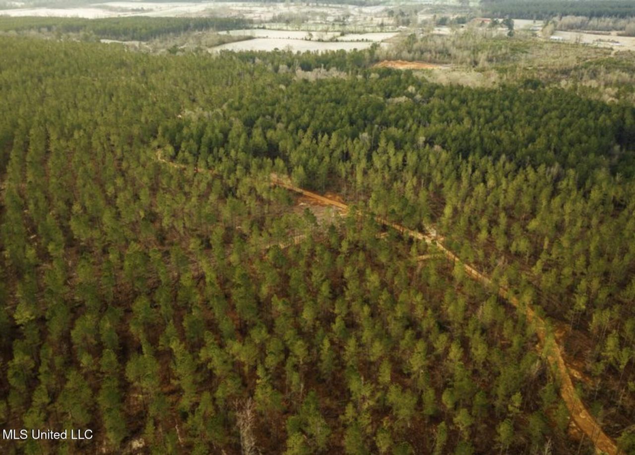 Sw 00 Arlington Drive, Bogue Chitto, MS 39629 Main Photo