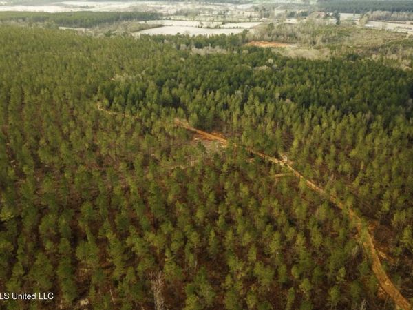 SW 00 Arlington Drive, Bogue Chitto, MS 39629