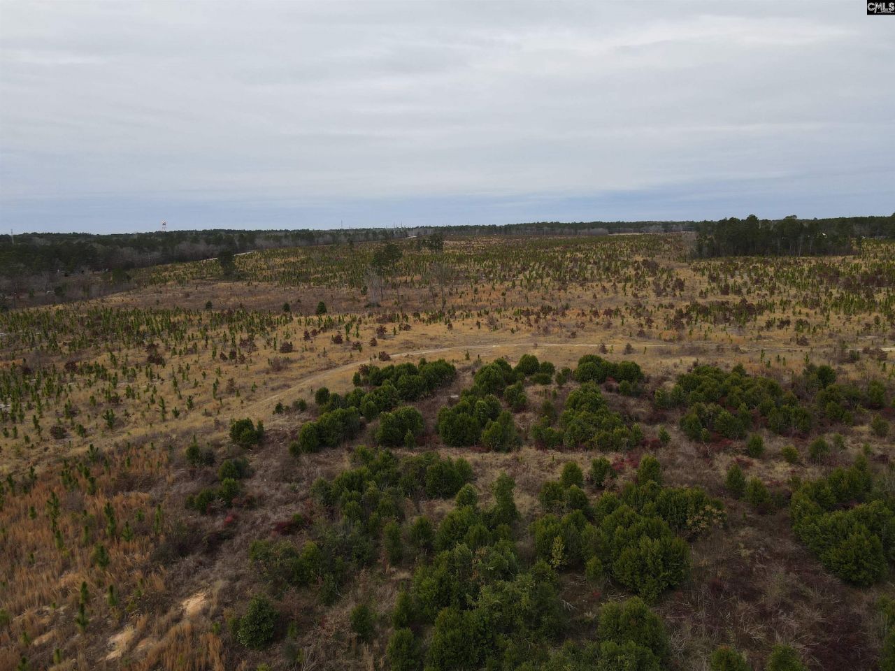 Tract 3 Park Road  Photo 6