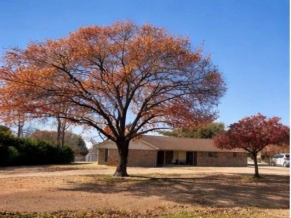 5703 Pecan Grove Drive, Sachse, TX 75048