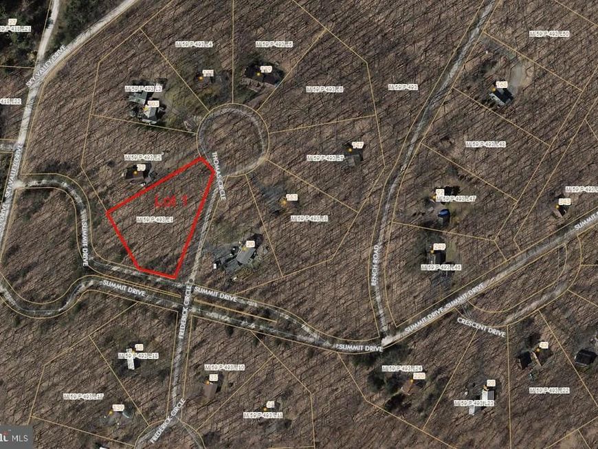 Lot 1 Thomas Circle, Swanton, MD 21561 Main Photo