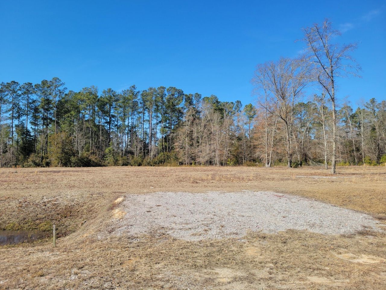 83 Rice Gate Court Photo 4