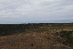 Tract 7 Park Road  photo 4