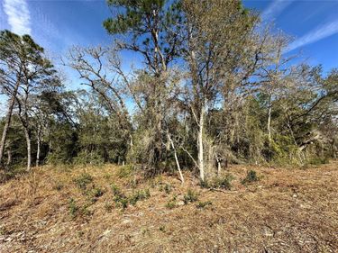 TBD SE 67TH PLACE, MORRISTON, FL 32668
