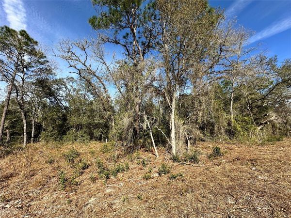 TBD SE 67TH PLACE, MORRISTON, FL 32668