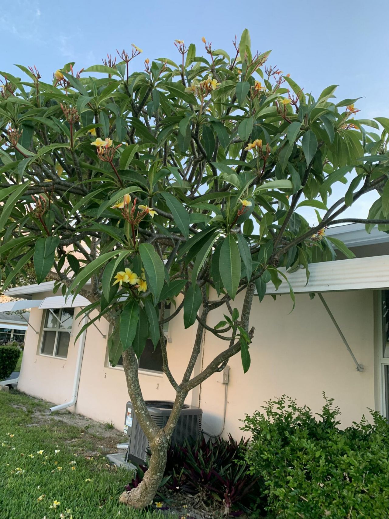 200 South Boulevard, Unit A, Boynton Beach, FL 33435 Photo