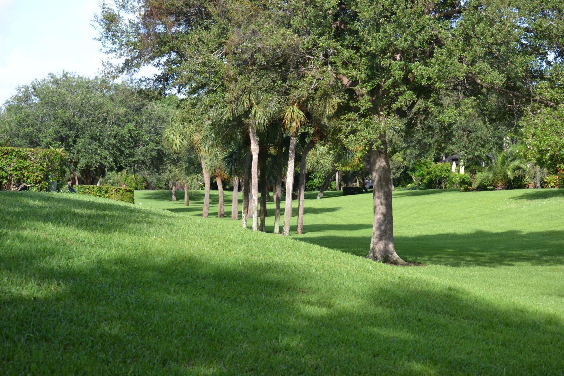 492 Hardwood Place, Boca Raton, FL 33431 Photo