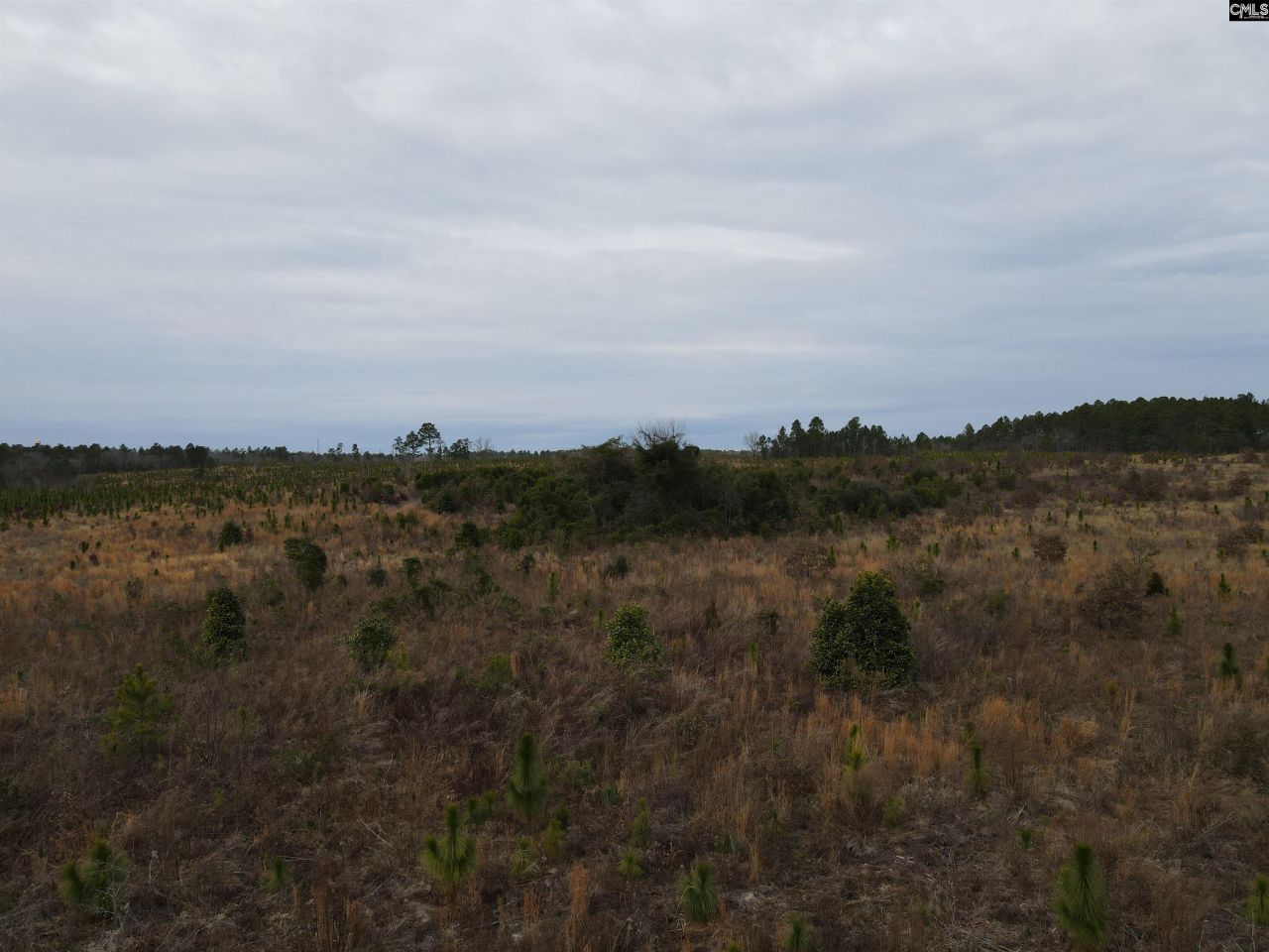 Tract 9 Park Road  Photo 4