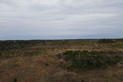 Tract 17 Holland Lane  photo 4