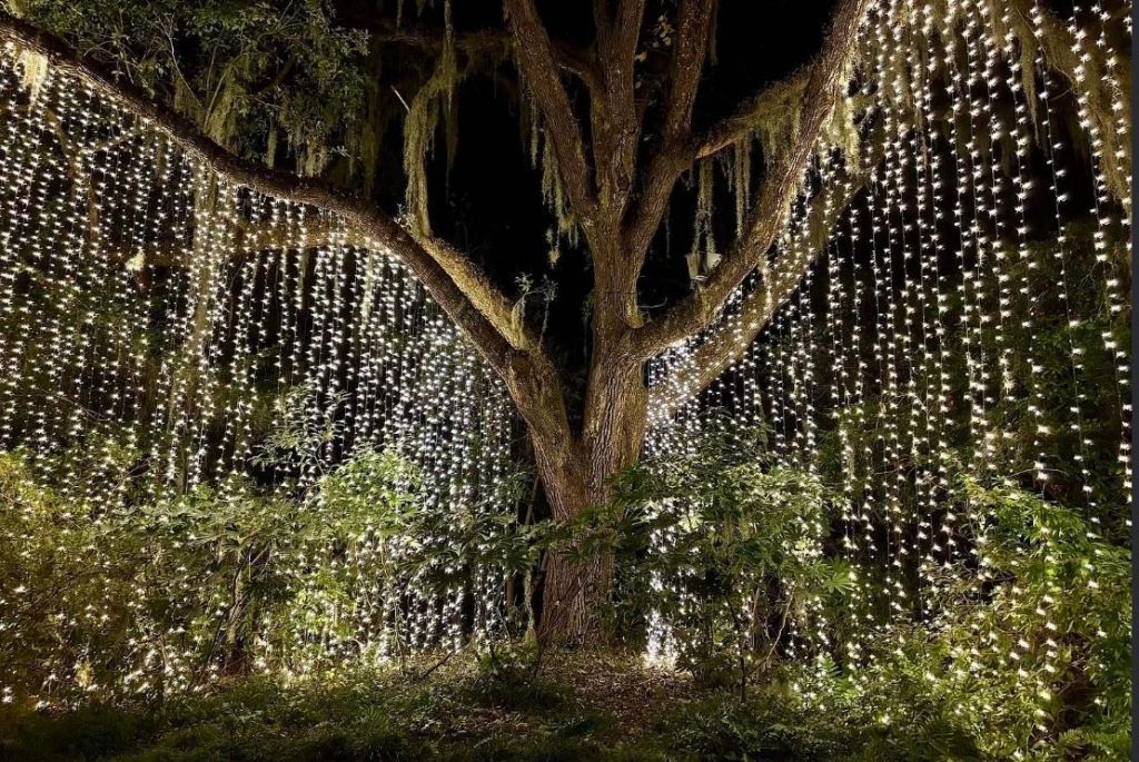 162 Westfield Circle Photo 8