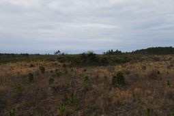 Tract 10 Park Road  photo 4