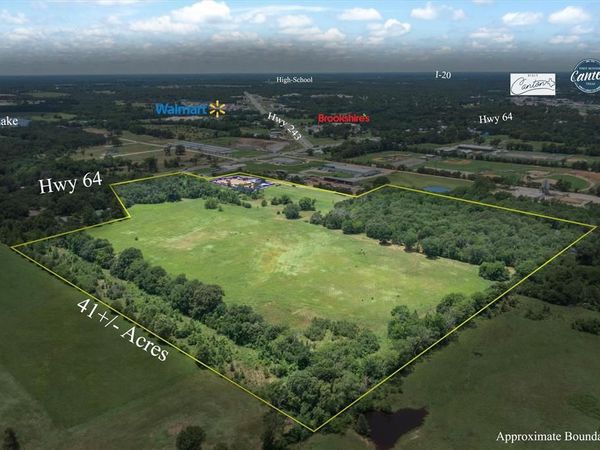 41.85 Acres State Highway 64, Canton, TX 75103