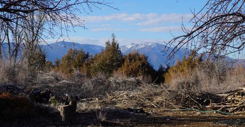 1430 Glenwood Drive, Gardnerville, NV 89460 Photo