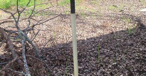 878 Sequoia Cir, Copperopolis, CA 95228 Photo