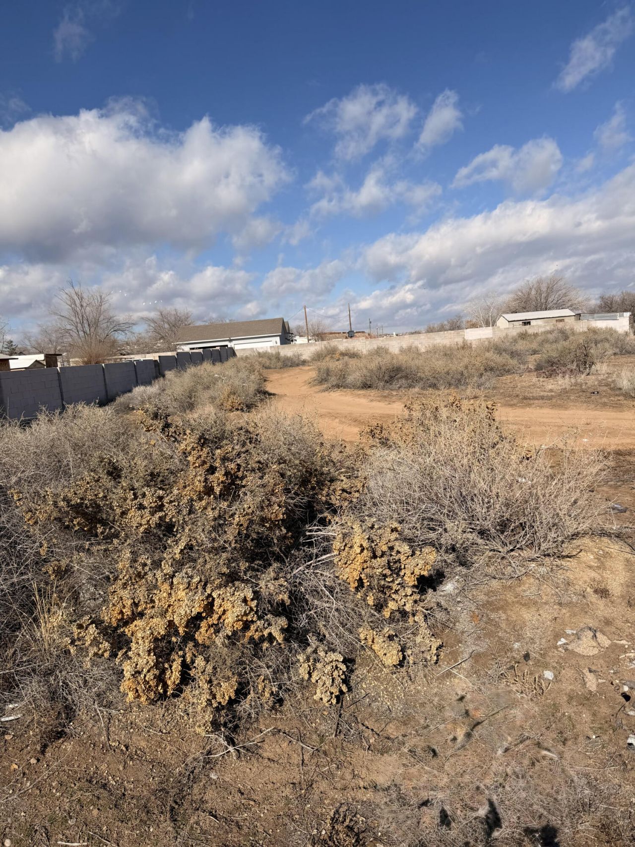 2513 Amalia Road Sw, Albuquerque, NM 87105 Main Photo