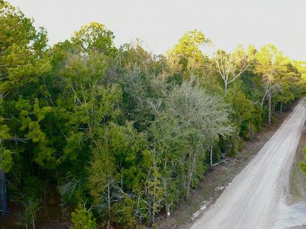 TBD 162ND TER LOT 7, McAlpin, FL 32062
