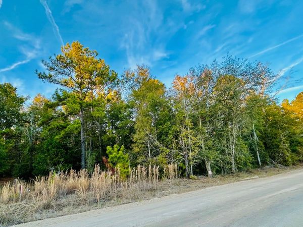 TBD 162ND TER LOT 7, McAlpin, FL 32062