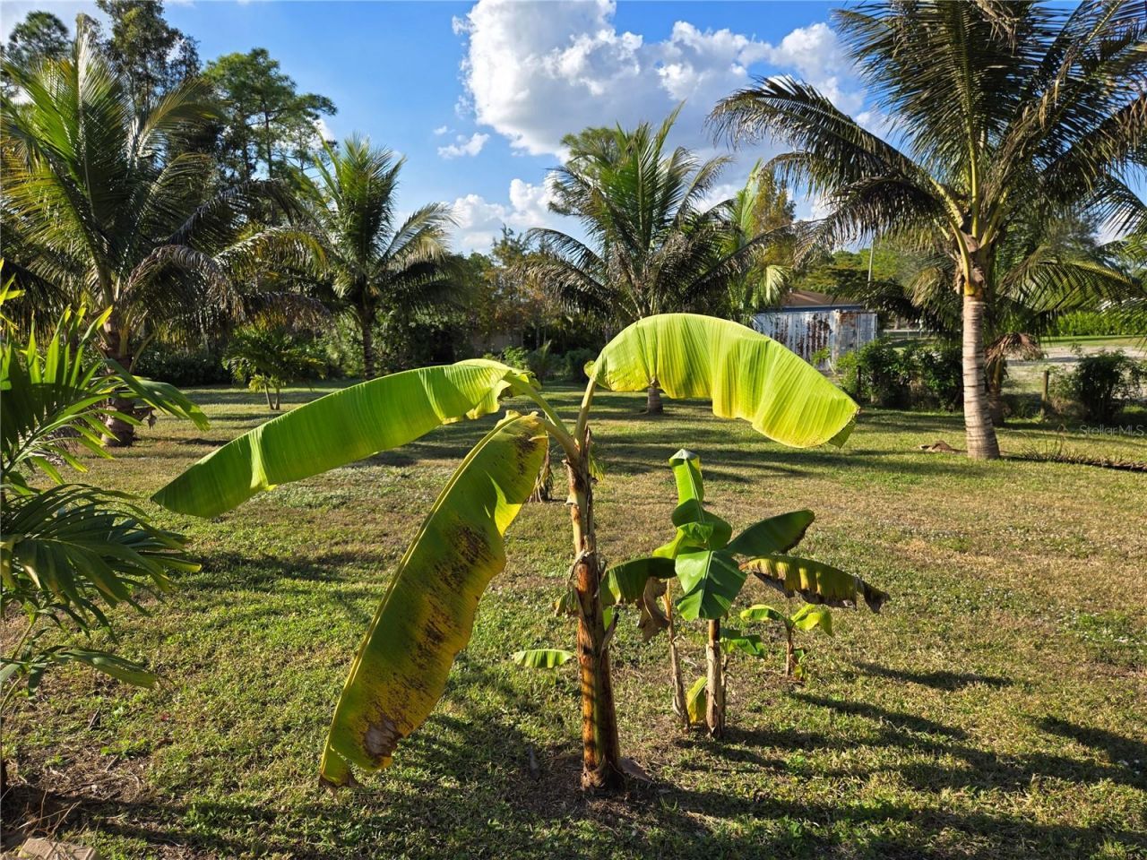 17927 77th Lane N, Loxahatchee, FL 33470 Photo