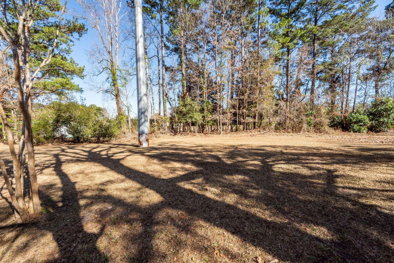 2106 Fife Lane Photo 29