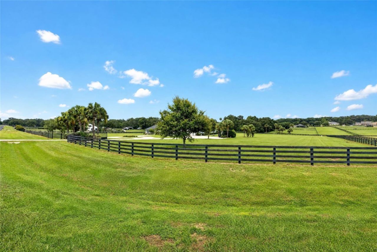 9389 SW 14th Avenue, Ocala, FL 34476 Photo