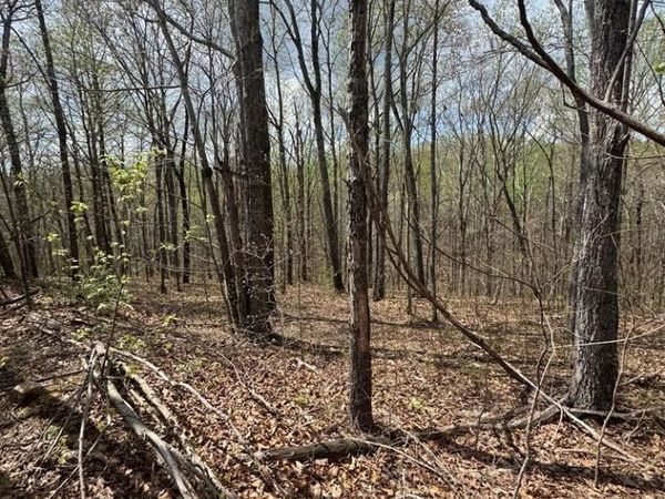 345 Drew Court, Unit 345, Smithville, TN 37166