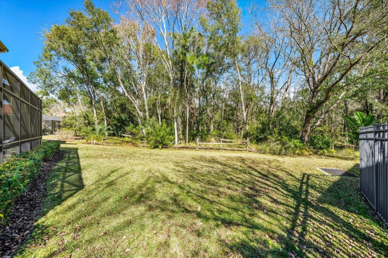 2661 Hawks Landing Boulevard, Palm Harbor, FL 34685 Photo