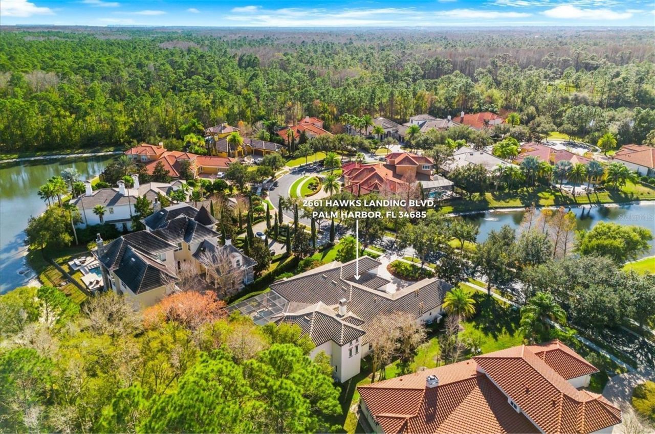 2661 Hawks Landing Boulevard, Palm Harbor, FL 34685 Photo