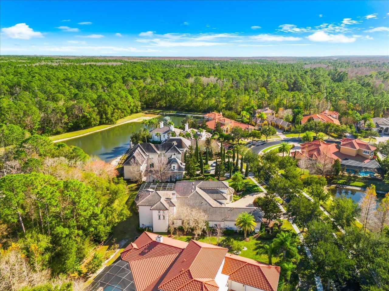 2661 Hawks Landing Boulevard, Palm Harbor, FL 34685 Photo